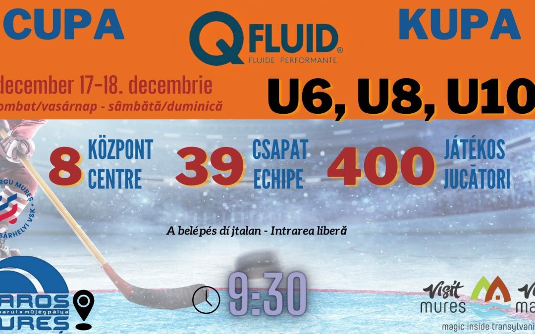 JÉGKORONG: Ismét Qfluid kupa!
