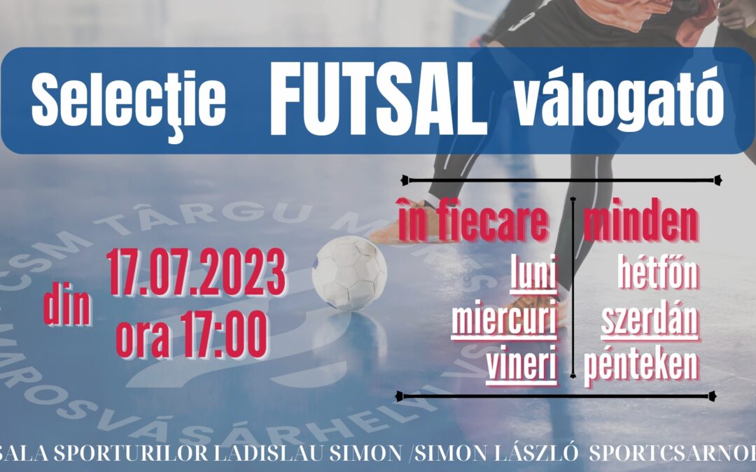 FUTSAL: A Vikkendről a Liga 1-be? Miért ne?